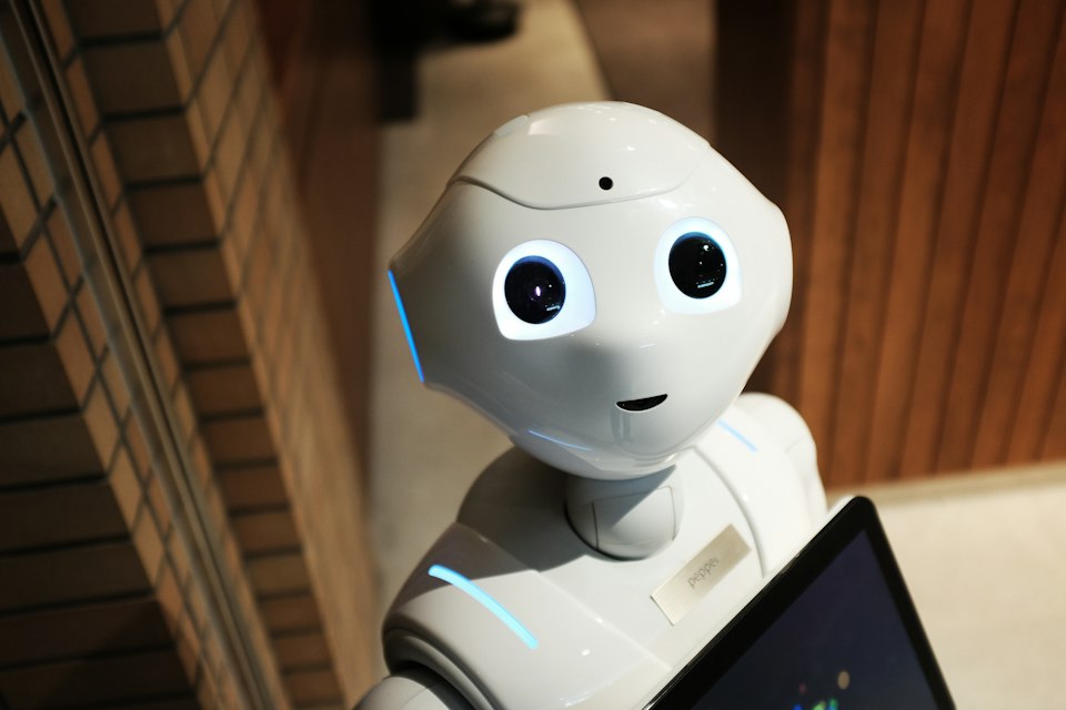 AI Agent Development and Training